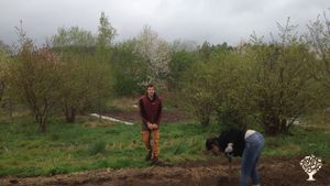 Forest garden surroundings 