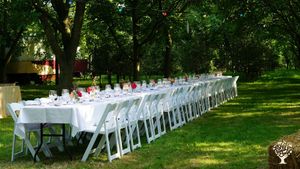 Organic fruit and veggy farm,  specialized in old fruit varieties (60 varieties in total)