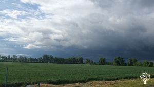Rodinná farma na Vysočině - místo pro ubytování, relax se zvířaty a pořádání svateb
