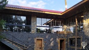 Çam Ormanı İçinde İzole Yaşam Alanı