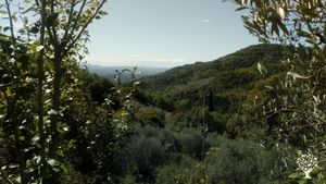 Piccola fattoria