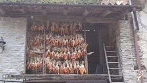 Abitiamo in un piccolo borgo dentro un bosco, abbiamo 8 ha di terra tra bosco e zone coltivabili.